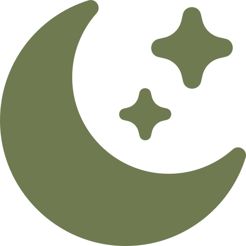 Moon Stars logo